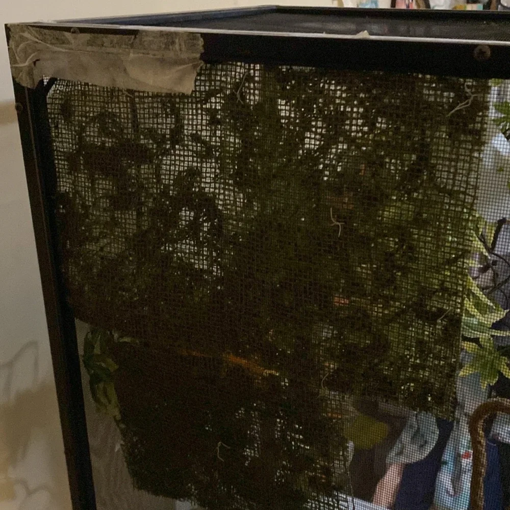 Reptile terrarium